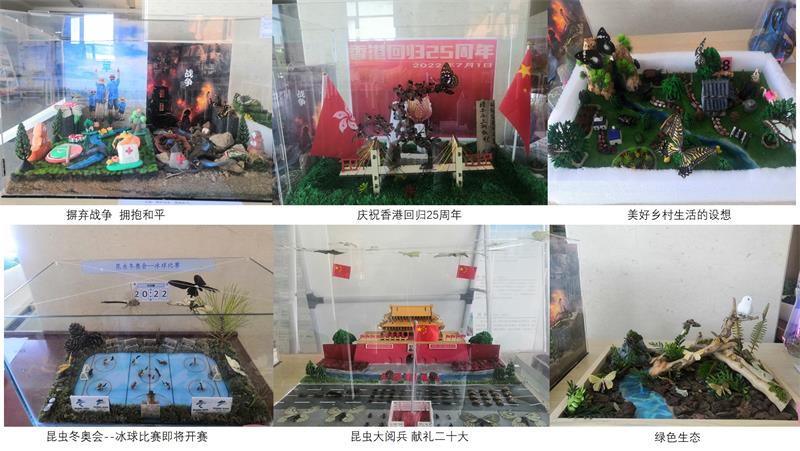 图片800.jpg